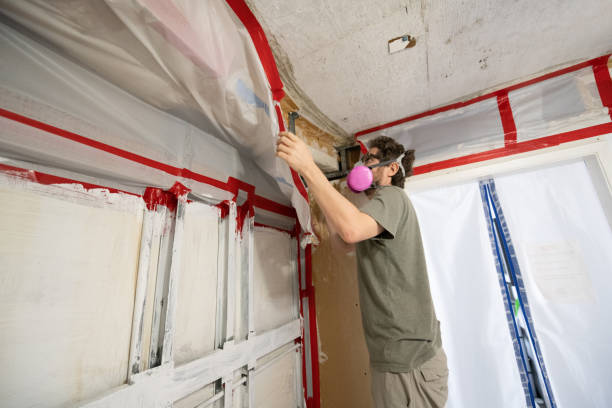 Best Attic Mold Removal  in Blue Point, NY